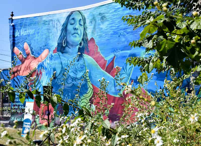 Image of a blue woman painted on a mural with green plants all around showing a step for equity