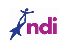 NDI Logo